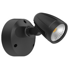 Hailee Outdoor Wall Spotlight